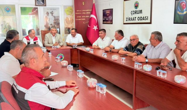 Çorum’da 2027 ÇKS başvuruları 1 Eylül’de başlayacak