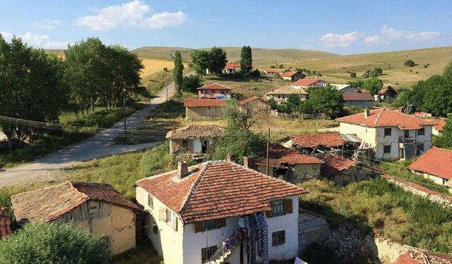3 bin 252 metrekarelik hazine arazisi neden satışa çıkarıldı?