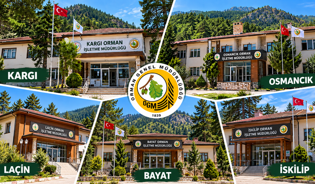 Listeler açıklandı: Hangi ilçeden kaç kişi programa dahil oldu?