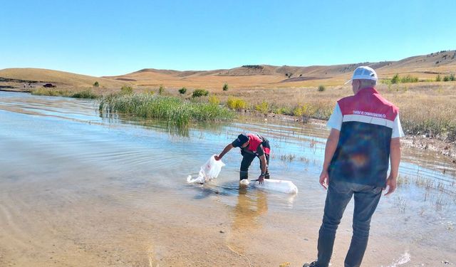 Gölet ve barajlara binlerce yavru balık bırakıldı