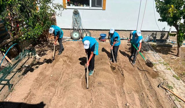 Ülkü Ocakları Çorum’da ilk kez safran ekimi yaptı