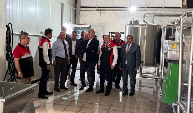 Vali Çalgan, Damızlık Sığır Yetiştiricileri Birliği’nde incelemelerde bulundu