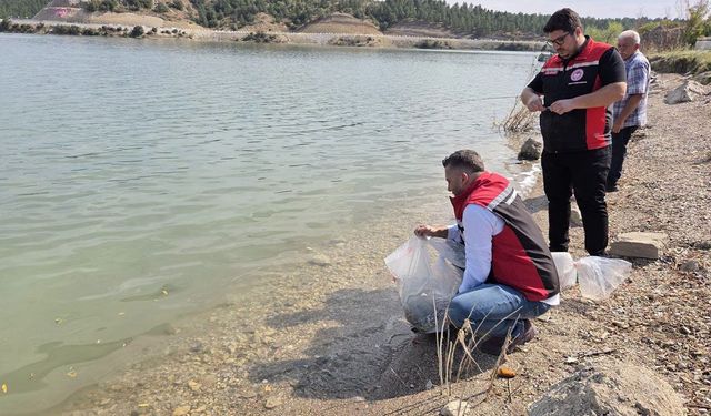 Çorum’daki baraj ve göletlere yavru balık bırakıldı