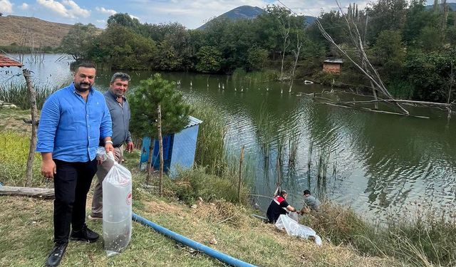 Kuyucak Köyü Göleti’ne yavru balık bırakıldı