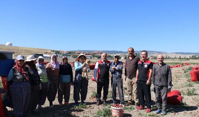 Karapürçek Köyü’nde soğan üretimi yerinde incelendi