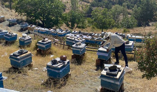 Arıcılık desteklemeleri için saha kontrolleri sürüyor
