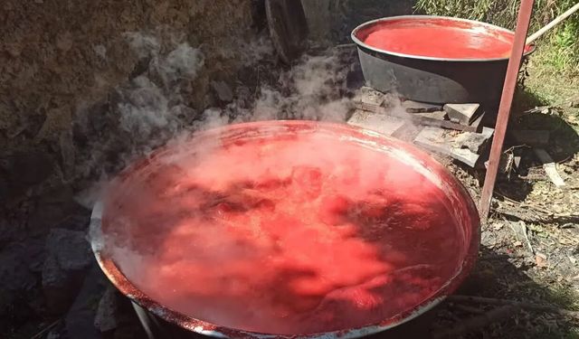 Kışlık salça yapacaklar dikkat: Lezzetin sırrı bu yöntemde