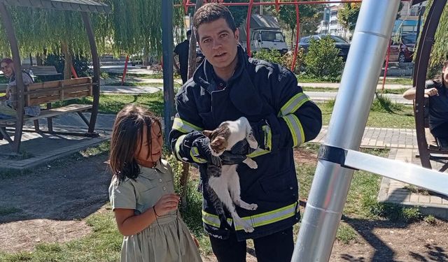 Ağaçta mahsur kaldı, imdadına itfaiye yetişti