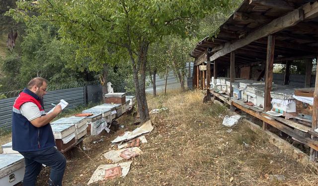 Çorum'da arılı kovanların kontrolleri sürüyor