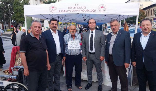 Ahilik Haftası öncesi esnaf stantlarına ziyaret