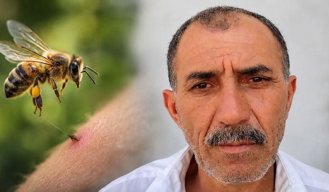 Arı sokması can aldı: 59 yaşındaki Ünal Türk kurtarılamadı