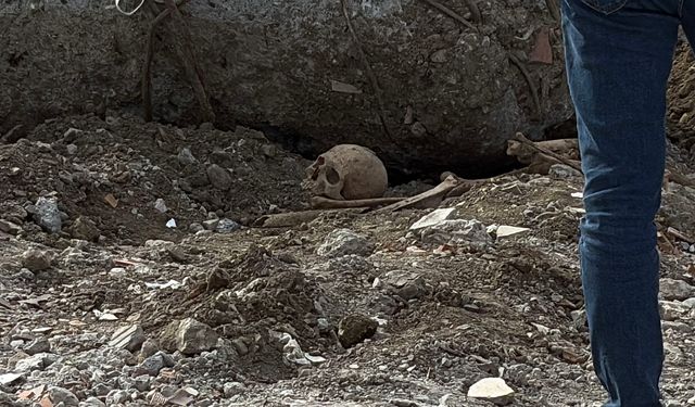 İnsan kafatası ve kemikleri bulundu: Araştırılacak