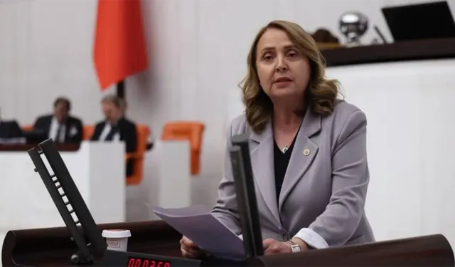 CHP'li Semra Dinçer otizmli çocukların eğitim krizini Meclis gündemine taşıdı
