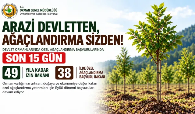 Çorum dâhil 38 ilde kendi ormanını kurmak isteyenlere müjde: Devlet arazileri açılıyor