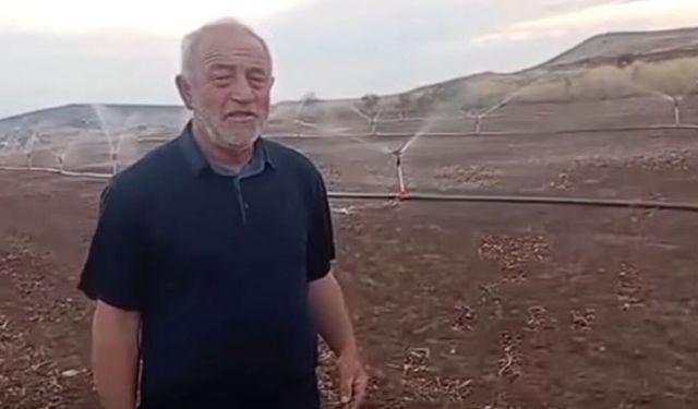 Çorum'da aynı tarlada ikinci ürün dönemi başladı