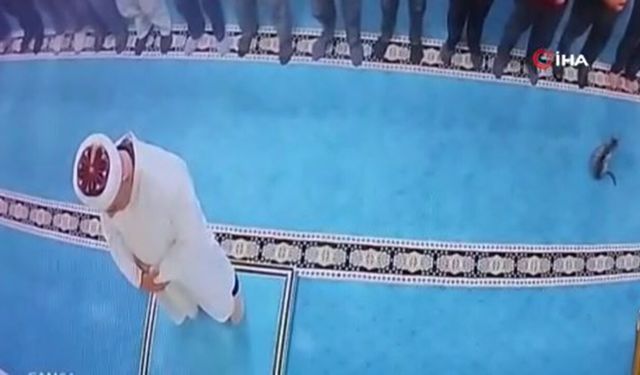 Tekmeleyince cami imamının kafasına fırladı: Kediyi tekmeleyen vicdansız kameralarda