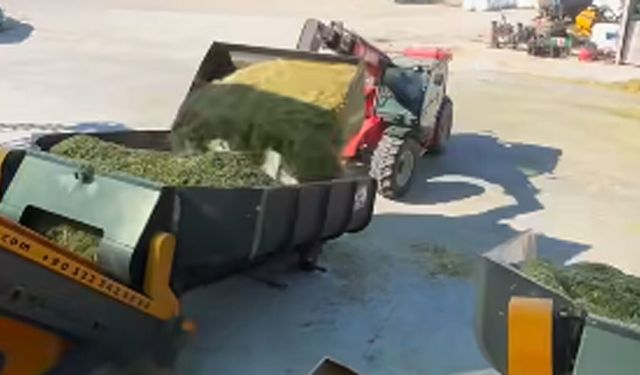 Çorum’da silaj paketleme çalışmaları sürüyor