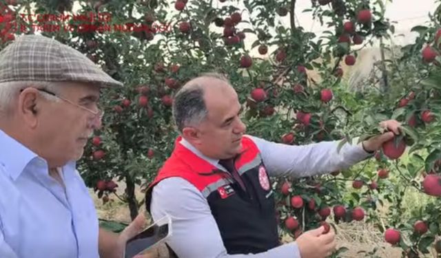 Çorum’da meyvecilik yatırımları yerinde incelendi