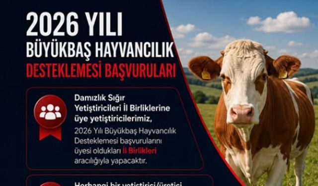 Büyükbaş hayvancılık desteği başvuruları başladı