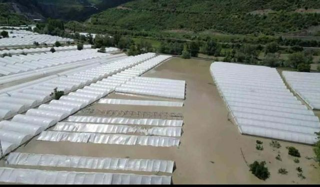 Amasya’da 5 bin dönüm arazi sular altında: Üretici borç ve icra kıskacında