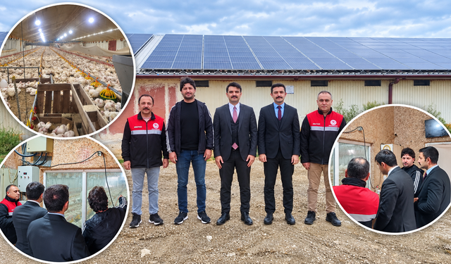 Yılda 300 bin etlik piliç yetiştiriliyor: Üretime dev katkı