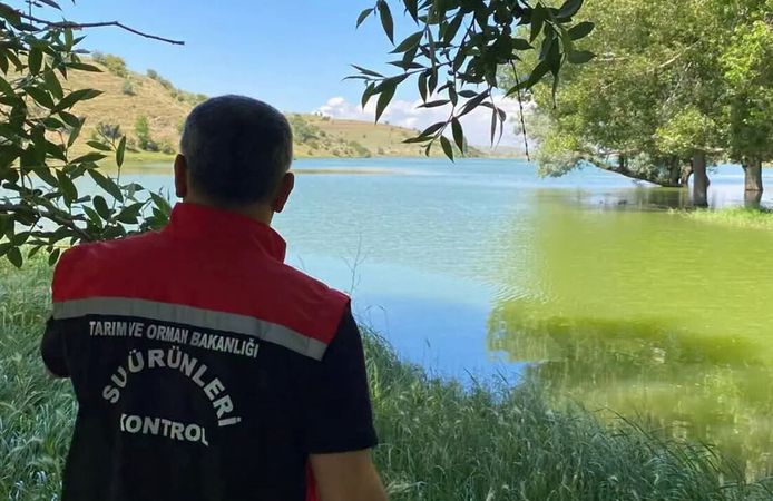 Güllük’te aşılama, Seyitnizam’da su ürünleri denetimi