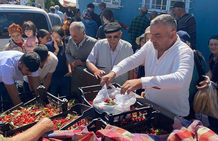 Mecitözü Ziraat Odası vatandaşlara kiraz dagıttı