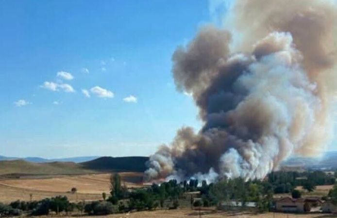 Çorum’da anız yangını paniği