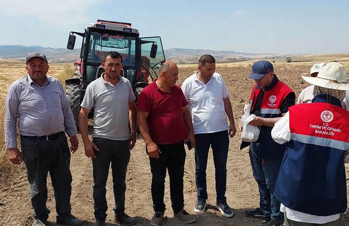 Sungurlu’da biçerdöverler tarlada denetleniyor
