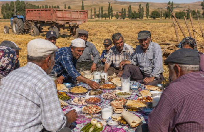 Çorum’da harman zamanı eski geleneklerle yaşatılıyor