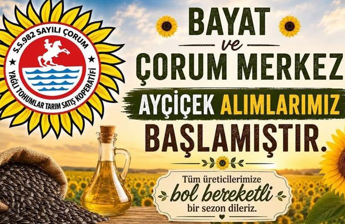 Yağlık ayçiçeği alımları başladı: Nasıl teslim edilecek?