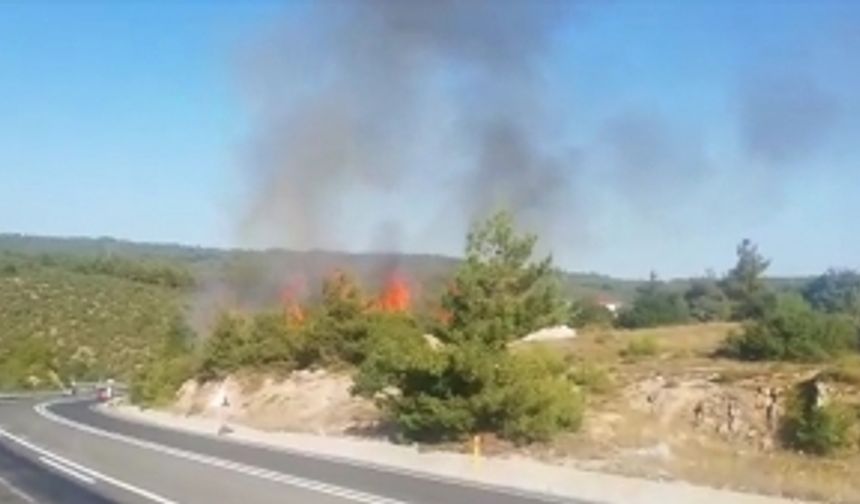 Bilecik’te orman yangını: 1 şüpheli gözaltında