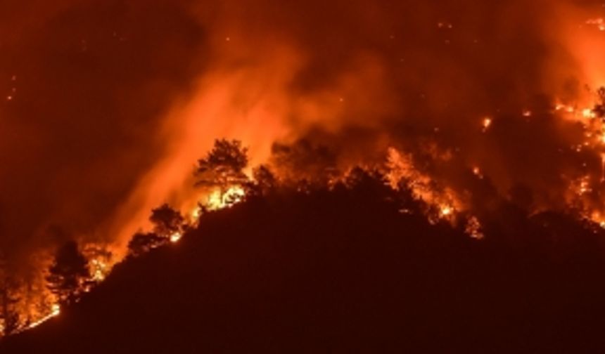 Köyceğiz'de gece saatlerinde alevler yeniden yükseldi