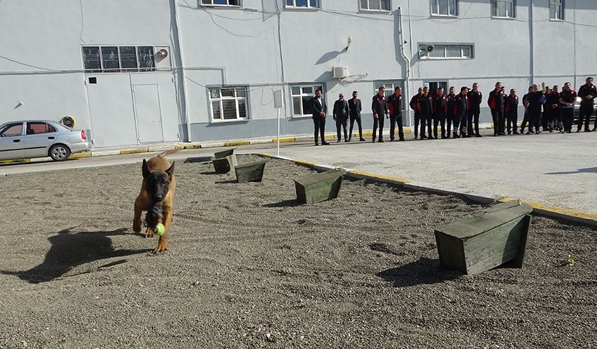 Asya, Çorum'un Afet Kahramanı olmaya hazırlanıyor