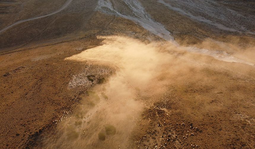 Bitlis'te yazla beraber başlayan zorlu yayla yolculuğu