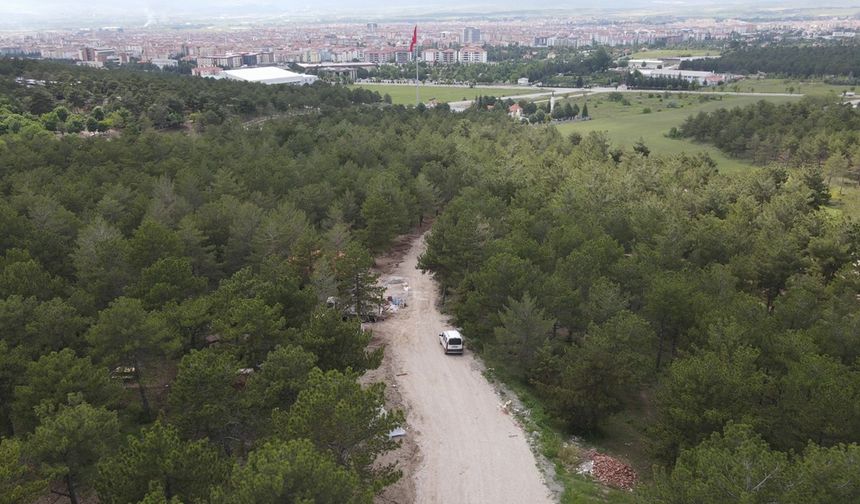 Bahabey Çamlığı, eko-turizm alanı oluyor