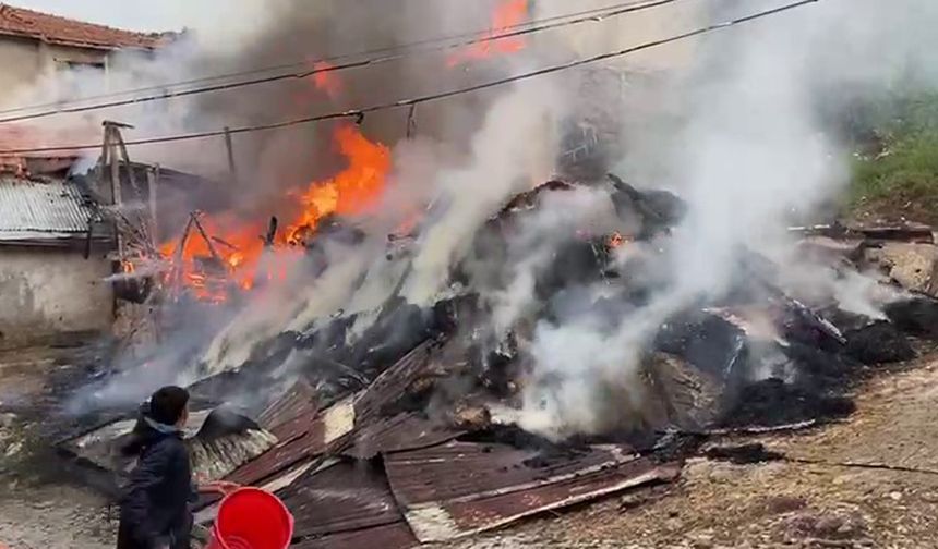 Elektrik kontağından çıkan yangında samanlık ve iki ev yandı