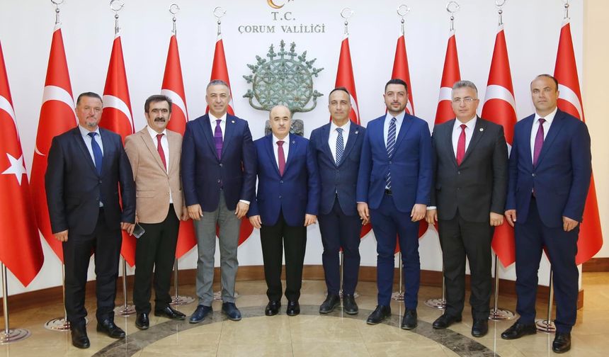 CHP’li Başkanlar Vali Dağlı ile görüştü