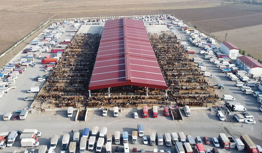 Çorum’da hayvan pazarları tedbir amacıyla kapatıldı