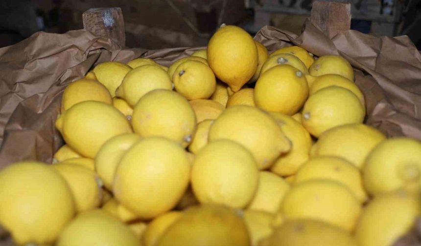 Kapadokya bölgesindeki limon depoları denetleniyor