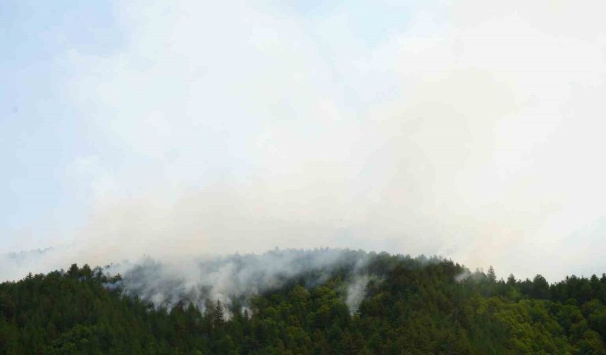 Kastamonu’da yıldırım sebebiyle çıkan orman yangına müdahale sürüyor