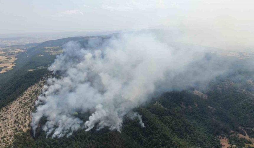 Kastamonu’daki orman yangını sürüyor: Havadan görüntülendi
