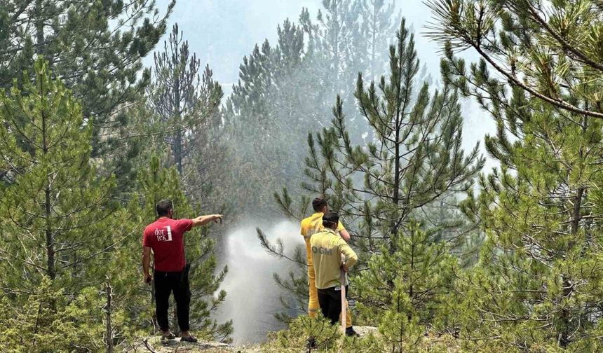 Kastamonu’daki orman yangınları kontrol altına alındı