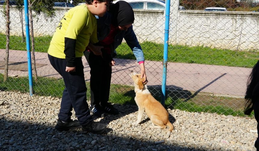 Düzce'de rehabilitasyon merkezindeki köpek yavrusunu engelsiz yaşam merkezi sahiplendi