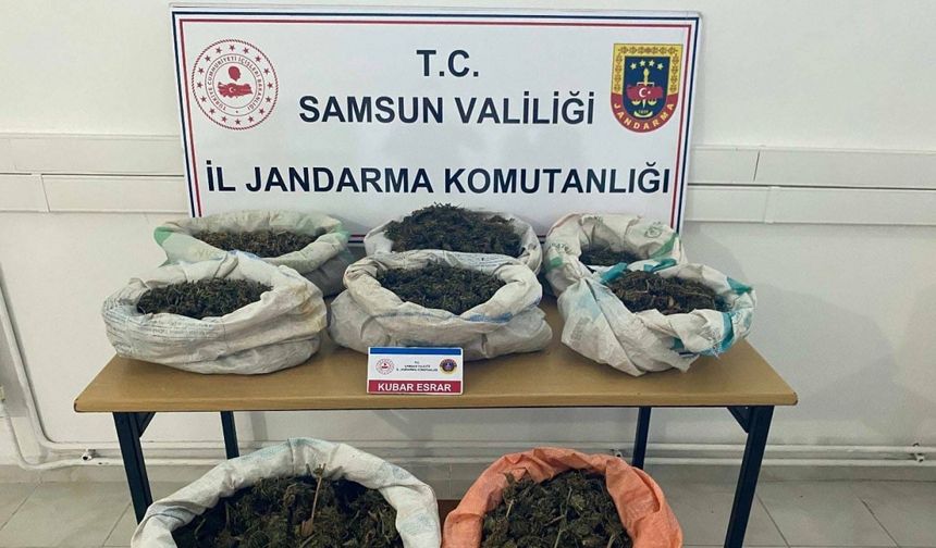 Ormanlık alandaki çadırda 8,5 kilo esrar ele geçirildi