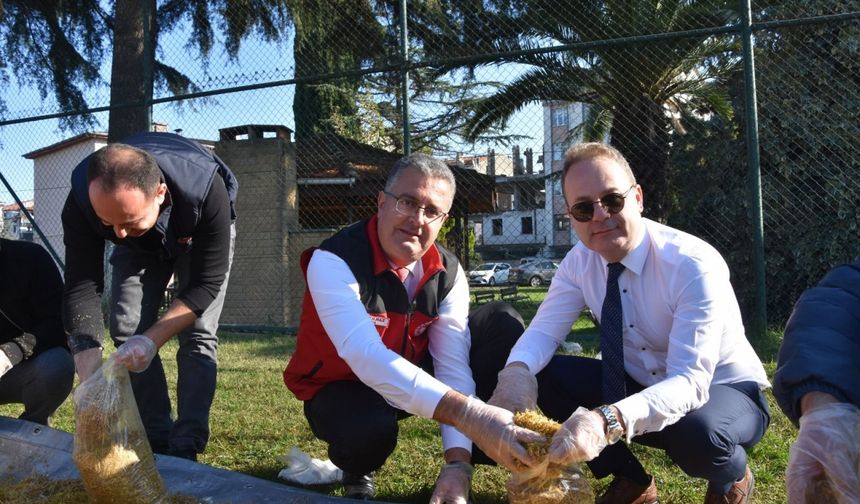 Ordu'da yükümlülere yönelik mantar yetiştiriciliği kursu tamamlandı