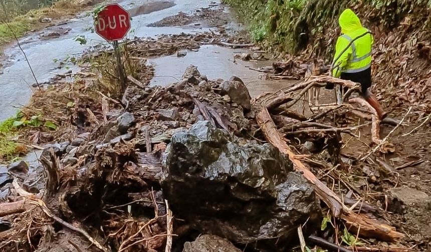 Rize'de şiddetli yağış nedeniyle 21 köy yolunda heyelan oldu