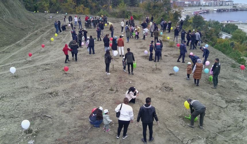 Sinop'ta 11 Kasım Milli Ağaçlandırma Günü dolayısıyla fidanlar toprakla buluşturuldu