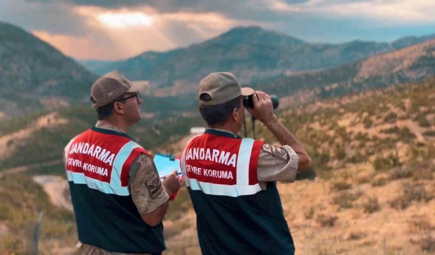 Jandarma doğayı koruma faaliyetlerini sürdürüyor