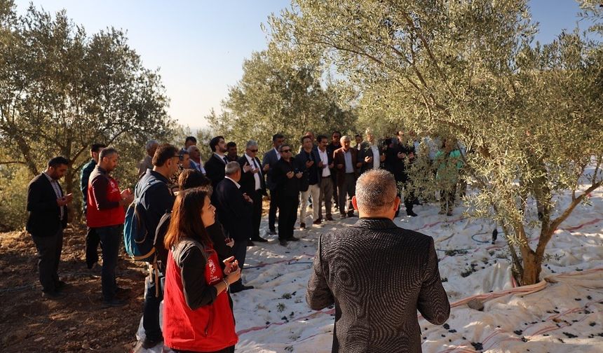 Kavaklıdere’de zeytin hasat sezonu Hillerima Antik Kenti’nde dualarla başladı